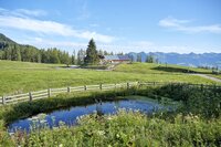 Das Hochplateau Tschengla im Sommer. Foto: Alex Kaiser / Alpenregion Bludenz Tourismus Weite Bergwiesen auf dem Hochplateau Tschengla, dahinter die Gipfel des Rätikon