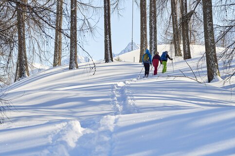 Spuren im Lärchenwald oberhalb der Chalets. Foto: Alex Kaiser / Alpenregion Bludenz Tourismus Schneeschuhwanderung durch den Lärchenwald auf der Tschengla