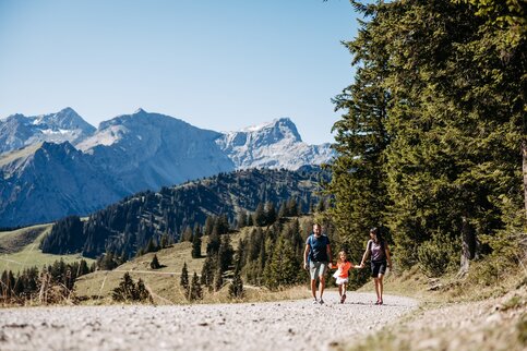 Der Natursprünge-Weg, ein Themenweg für Kinder. Foto: Frederick Sams / Bergbahnen Brandnertal Kinder auf dem Natursprünge-Weg oberhalb von Brand